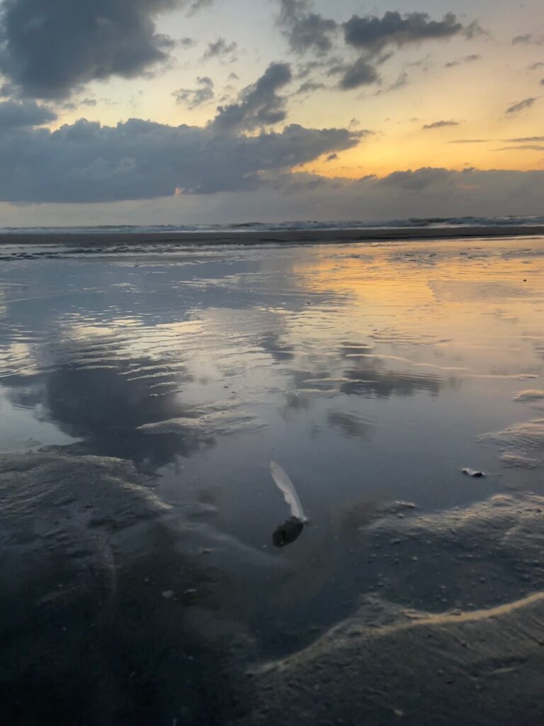 Woord en beeld verbinden veder zee